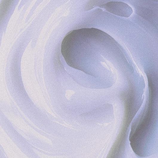 Eyebrows (Smooth 12) 